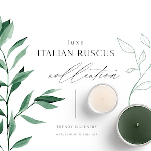 Italienische Ruscus Aquarell Clipart Set - luxe Trendy Grün Aquarell Laub Aquarell Blätter grün floral Hochzeit Digital PNG