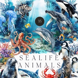 Sealife Animals clipart - 35 Watercolor Underwater Ocean Animals set - Sea Life clipart PNG - Whale Shark Dolphin Fish Octopus Coral Reef