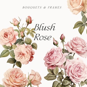 Aquarela Blush Roses Clipart - Aquarela Floral clipart - Rosa rosa buquês de flores clipart png - Vintage Roses - Digital clipart PNG