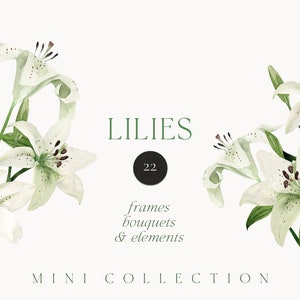 Lys aquarelle png clipart - clipart fleurs de lys blanc - printemps floral clipart png - inviter carte clipart - clipart PNG numérique