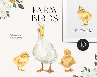 Farm birds watercolor set - Farm country animal clipart for prints, kids - Cute duck chicken chick goose with floral wreath flowers - PNG