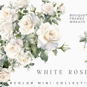 Aquarelle de roses blanches clipart - aquarelle floral clipart - roses blanches fleurs bouquets clipart png - ensemble de roses png - clipart numérique PNG