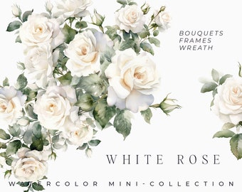 Watercolor White Roses Clipart - Watercolor Floral clipart - White rose flowers bouquets clipart png - Rose set png - Digital clipart PNG