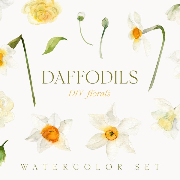 Watercolor daffodils png clipart - Daffodil flowers clipart - Spring floral clipart - Wedding invite card clipart - Digital PNG clipart