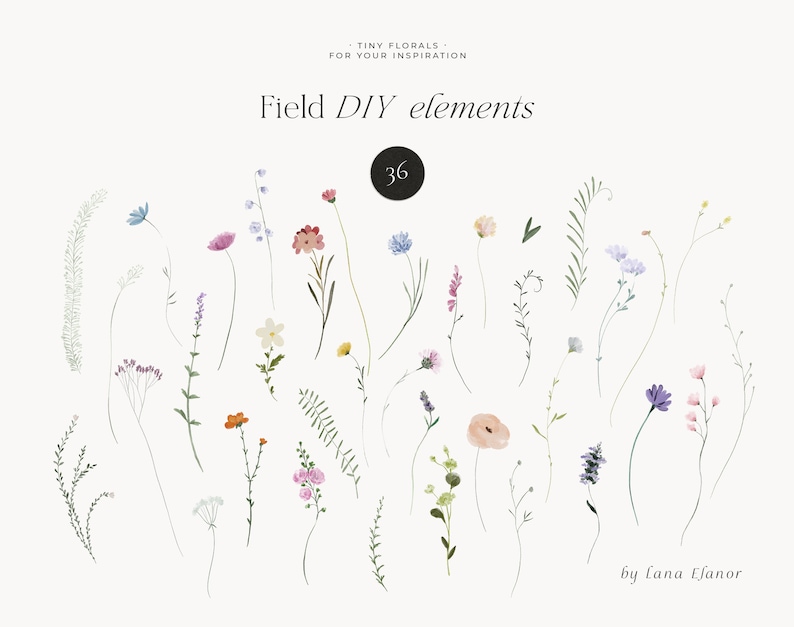 Field Flowers clipart png Wildflowers watercolor clipart png Tiny flowers Dainty delicate floral frame wreath Digital clipart PNG image 5