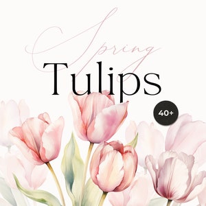 Watercolor Tulips clipart - Watercolor floral clipart png - Watercolor flowers png - Spring flowers - Tulips clipart for wedding invite png