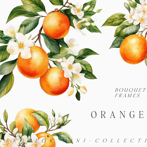 Watercolor Orange clipart - Watercolor oranges png - Orange twig clipart - Citrus wreath - Watercolor floral clipart - Digital clipart PNG