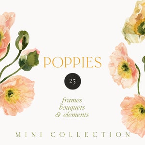 Clipart de papoulas em aquarela png - clipart neutro de flores de papoula da Islândia - clipart floral de primavera - clipart de cartão de convite - clipart digital PNG