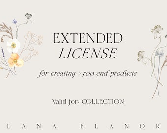 Extended License: Graphic Collection from LanaElanor