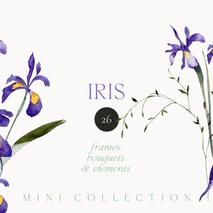 Clipart png acquerello Iris - Clipart fiori di iris viola - Clipart floreale primaverile - Clipart carta invito matrimonio - Clipart PNG digitale