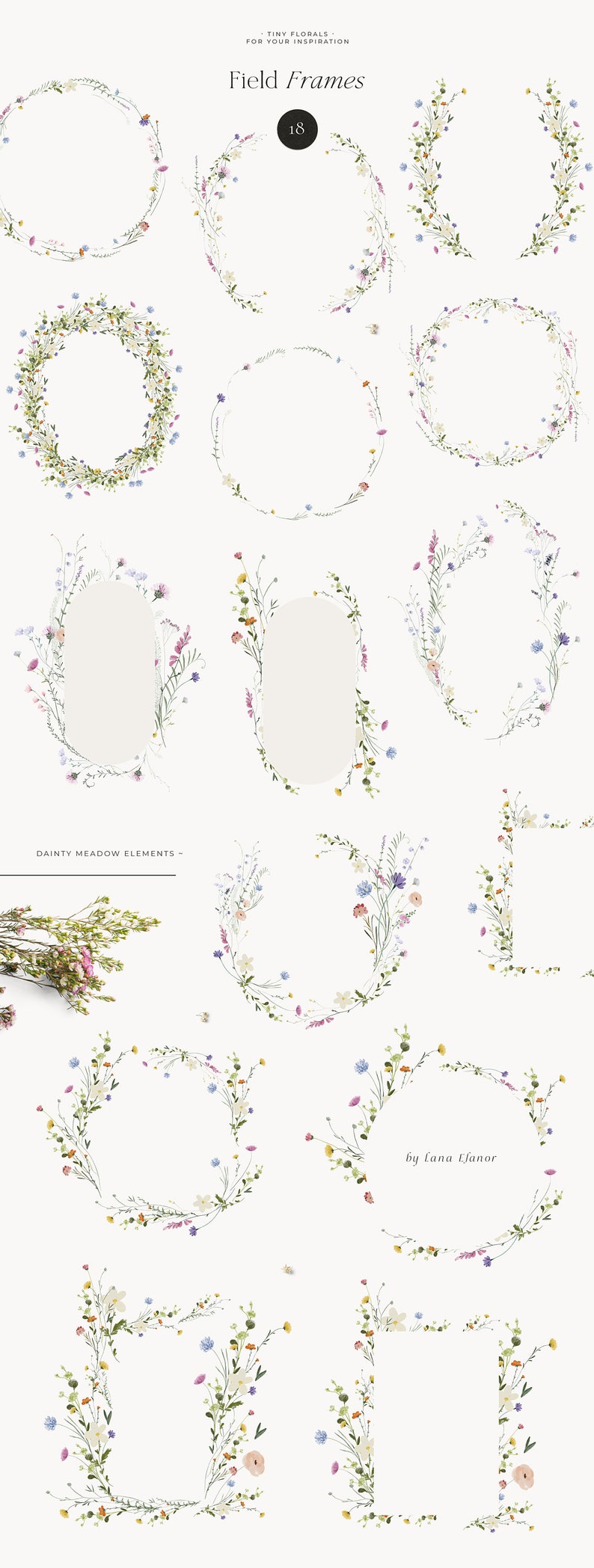 Field Flowers clipart png Wildflowers watercolor clipart png Tiny flowers Dainty delicate floral frame wreath Digital clipart PNG image 6