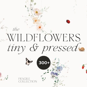 Clipart floral aquarela - Clipart de flores silvestres - Flores delicadas prensadas no campo - Molduras de pequenos buquês de flores silvestres - Clipart digital PNG