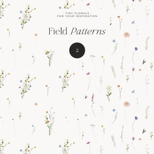 Field Flowers clipart png Wildflowers watercolor clipart png Tiny flowers Dainty delicate floral frame wreath Digital clipart PNG image 9