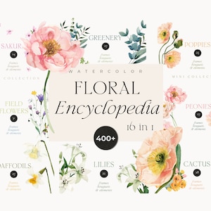 Bundel aquarelbloemen - aquarel bloemen clipart png - bloemenkrans png - bloemenboeket png - bloemenlijst png - digitale clipart png