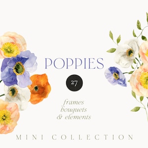 Clipart de papoulas da Islândia em aquarela png - clipart de flores de papoula brilhantes - clipart floral de primavera - clipart de cartão de convite - clipart digital PNG