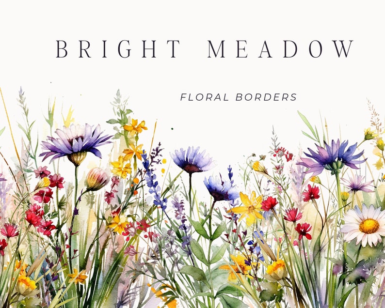 Watercolor Floral Clipart Wildflowers floral clipart Floral border set Meadow Flowers png spring summer flowers Digital clipart PNG image 1