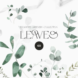 Greenery watercolor clipart - Green leaves clipart png - Watercolor leaves - Foliage clipart - Wedding Eucalyptus clipart - Greenery wreath