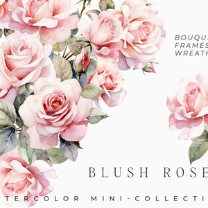 Clipart aquarelle de roses blush - aquarelle floral clipart - bouquets de fleurs roses roses clipart png - ensemble de roses png - clipart numérique PNG