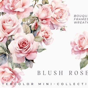 Watercolor Blush Roses Clipart - Watercolor Floral clipart - Pink rose flowers bouquets clipart png - Rose set png - Digital clipart PNG