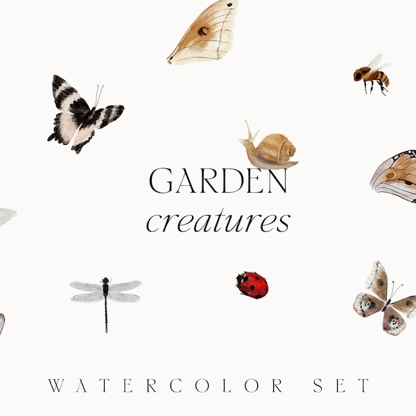 Clipart insectes aquarelle - créatures de jardin - ailes de papillons aquarelle - escargot - abeille - coccinelle - libellule - clipart PNG numérique