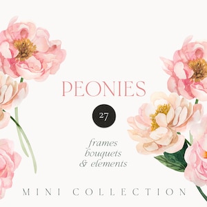 Aquarelle pivoines png clipart - pivoine fleurs clipart - printemps romantique floral clipart - mariage inviter carte clipart - numérique PNG clipart