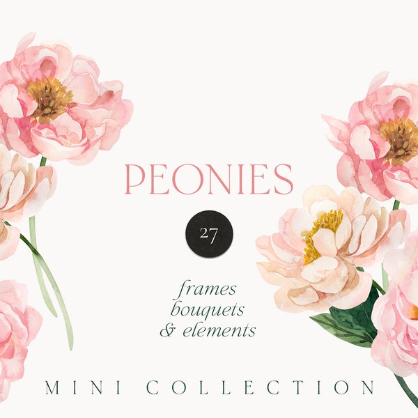 Watercolor Peonies png clipart - Peony flowers clipart - Romantic Spring floral clipart - Wedding invite card clipart - Digital PNG clipart