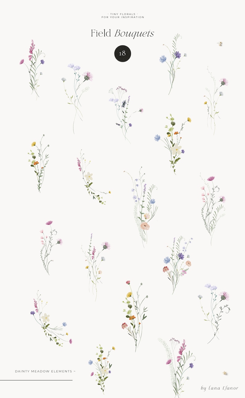 Field Flowers clipart png Wildflowers watercolor clipart png Tiny flowers Dainty delicate floral frame wreath Digital clipart PNG image 2