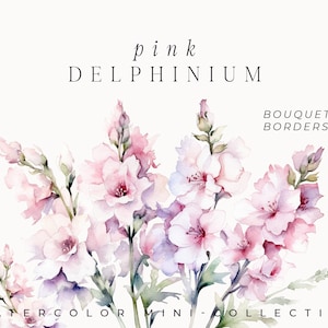 Watercolor Floral Clipart - Watercolor Delphinium flowers clipart png - Light Pink watercolor flowers png for invites - Digital clipart png