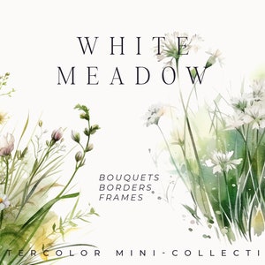 Clipart floral aquarela - clipart de flores silvestres de prado branco png para convites de casamento - clipart de grama aquarela png - clipart digital PNG