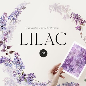 Aquarell Flieder Clipart - Lila Flieder Frühlingsblumen - Aquarell Blumen Clipart - Aquarell Blumen png - Flieder für Hochzeit einladen png
