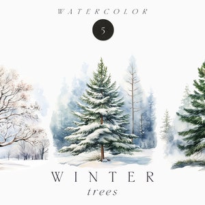 Clipart invernale ad acquerello - Alberi invernali ad acquerello PNG - Clipart di Natale ad acquerello - Pino abete - Albero di Natale png - Uso commerciale