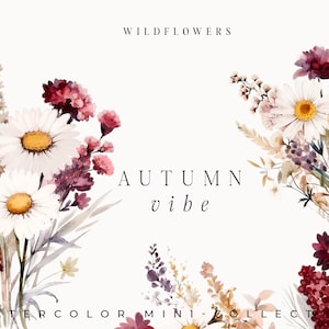Aquarel bloemen clipart - herfst bloemen clipart png - bloemenboeketten set - wilde bloemen png - zomer madeliefjeboeketten - digitale clipart PNG