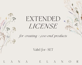 Extended License: Graphic SET from Lana Elanor