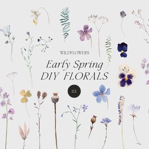 Clipart fiori di campo - Clipart floreale ad acquerello - Set fiori di campo - PNG floreale primaverile - Fiori secchi - Clipart invito matrimonio floreale png