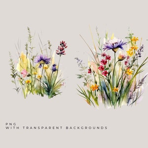 Watercolor Floral Clipart Wildflowers floral clipart Floral border set Meadow Flowers png spring summer flowers Digital clipart PNG image 7