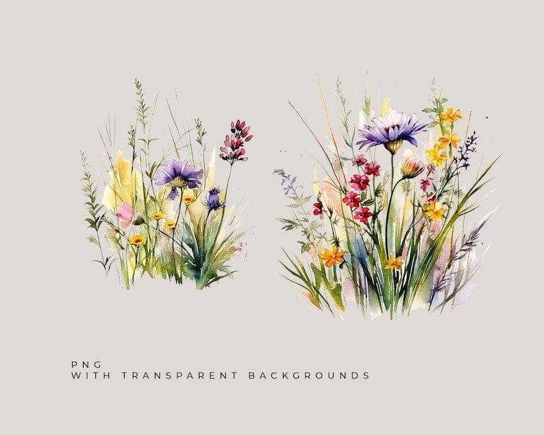 Watercolor Floral Clipart Wildflowers floral clipart Floral border set Meadow Flowers png spring summer flowers Digital clipart PNG image 7