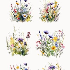 Watercolor Floral Clipart Wildflowers floral clipart Floral border set Meadow Flowers png spring summer flowers Digital clipart PNG image 4