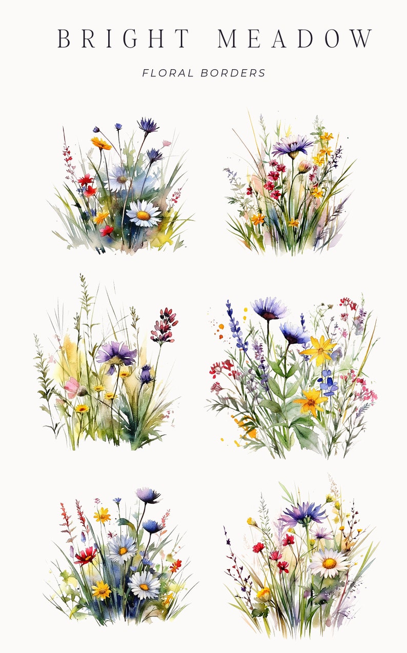 Watercolor Floral Clipart Wildflowers floral clipart Floral border set Meadow Flowers png spring summer flowers Digital clipart PNG image 4