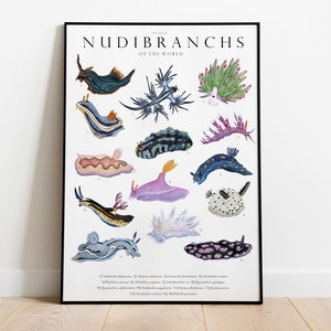 Nudibranchs of the World giclée print, handmade Illustration, Ocean animals watercolor, Nursery Decor, Sea slugs, marine biology chart