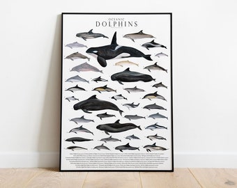 Oceanic Dolphins Watercolor Giclée Print, Nursery Decor, whales chart, cetaceans artwork poster, marine biology, animal trainer
