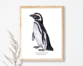 Magellanic penguin giclée print, Poster, Illustration, Aquatic bird, watercolor,Nursery Decor, penguin lover gift,South America bird