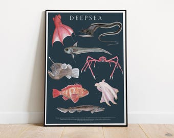 Deep Sea Creatures Giclée Print, Watercolor Ocean Animal Illustration, marine biology, scuba diving poster, anglerfish