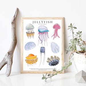 Quallen Poster - Quallen Poster - Aquarell Kunst - Montessori Printout - Schule für Kinder - Natur Poster - Wale und Fische