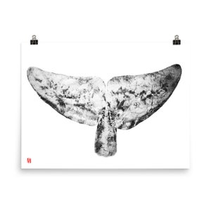 Harbor Porpoise Fluke Print - giclée print - Traditional Japanese Fish Art Style - Gyotaku - Whale wall decor - Dolphin Tail
