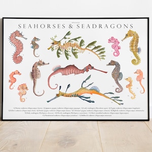 タツノオトシゴとシードラゴンのジクレー版画、イラスト、動物、水彩画、子供部屋の装飾、海洋生物学、分類学、スキューバダイビング、水族館