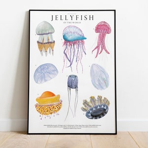 Impresión giclée de medusas del mundo, ilustración hecha a mano, acuarela de animales del océano, decoración de guardería, regalo para amantes de las medusas, historia natural
