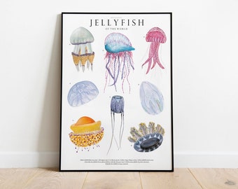 Jellyfish of the World giclée print,handmade Illustration, Ocean animals watercolor, Nursery Decor, Jellyfish lover gift, natural history