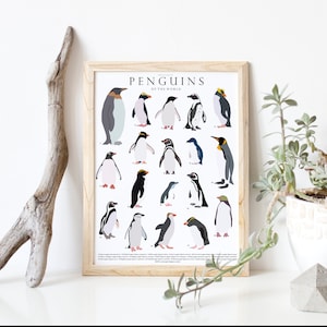 PRINTABLE penguins of the world pinguine, Vergleichstabelle Pinguin, Pinguinarten, Geschenk zur Geburt, Vogelliebhaber, Kinderzimmer