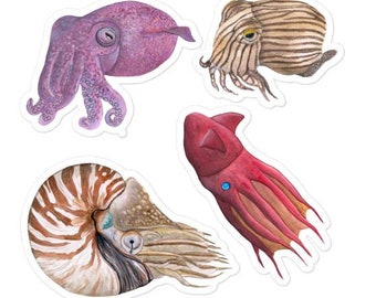 Cephalopod Sticker Set, 4 Watercolor Squid & Nautilus Stickers, Marine Biology Gift