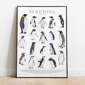 Penguins of the world giclée print, Illustration, Ocean animals, watercolor, Nursery Decor, penguin lover gift, natural history print,